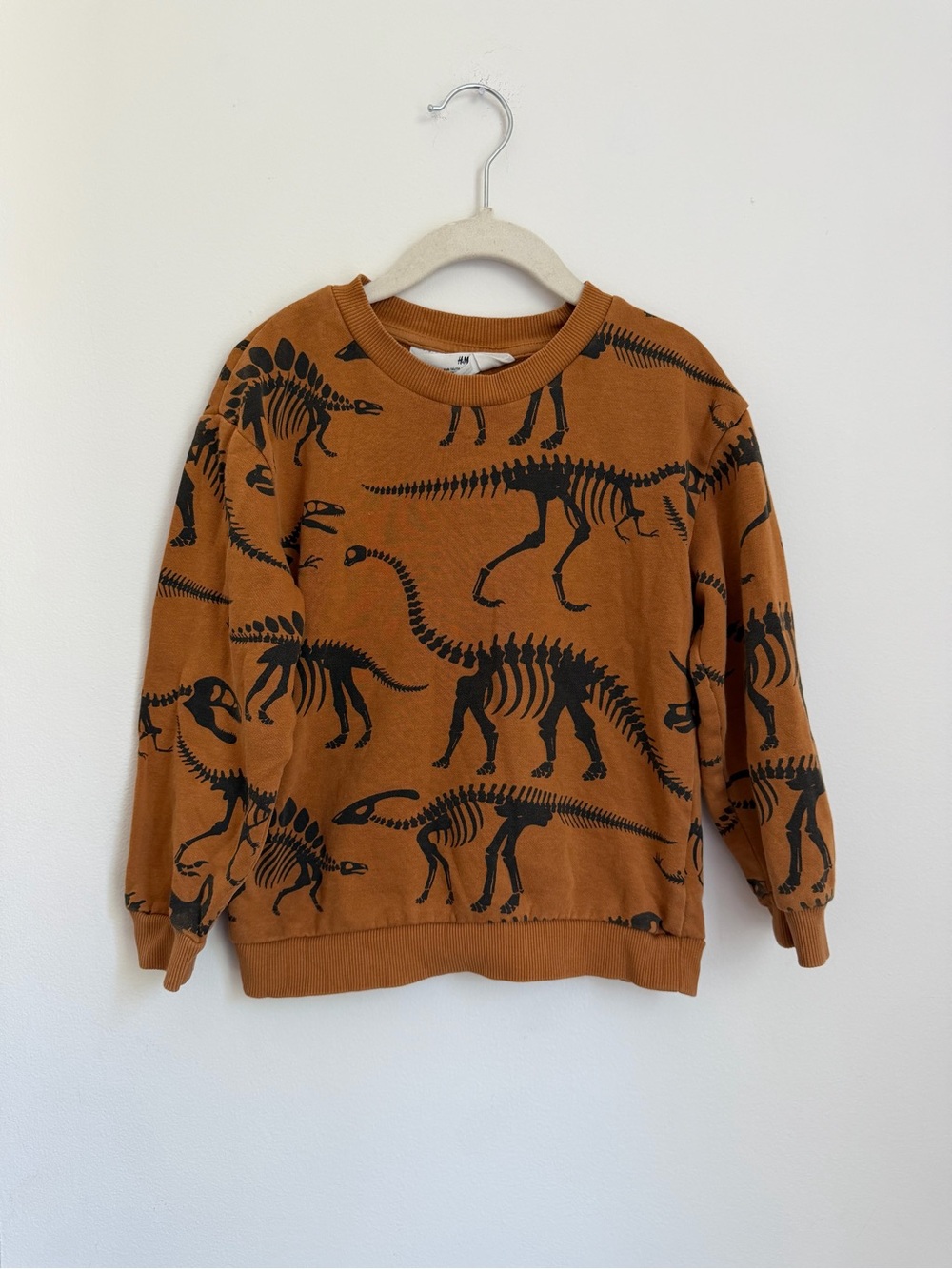 H&M Kids Burnt Orange Sweatshirt with Dinosaur Skeletons (Size 5/6)